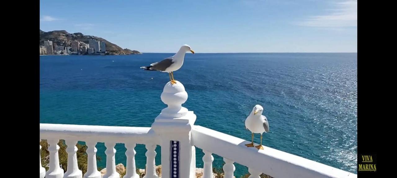 Apartamento Sun Beach Benidorm Buitenkant foto